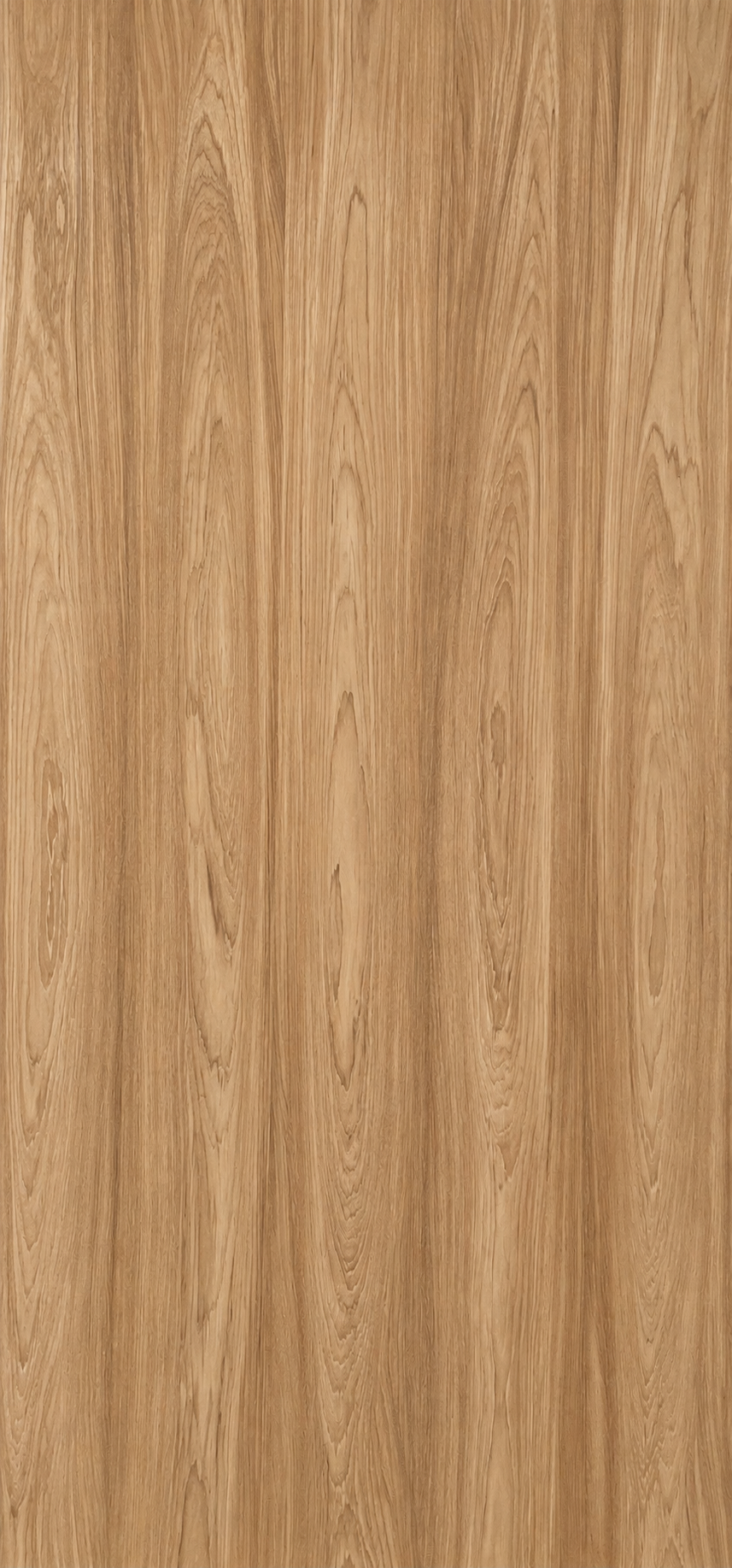 Burma teak natural Veneer sheet 8’x4’